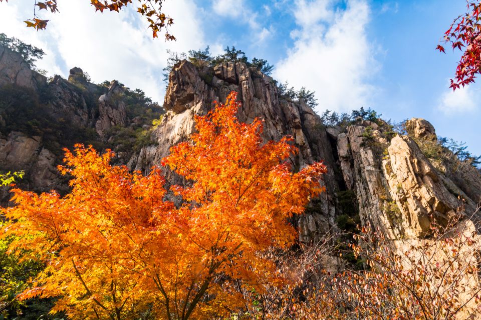 Laoshan Mountain, Qingdao, China
