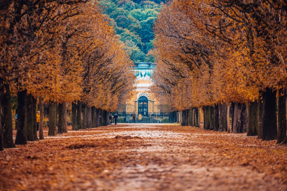  Schönbrunn Palace, Vienna, Austria