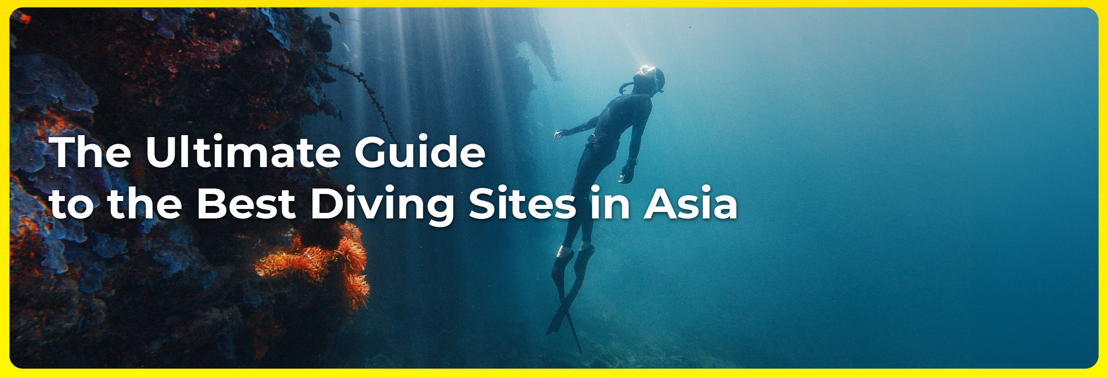 The Ultimate Guide to the Best Diving Sites in Asia