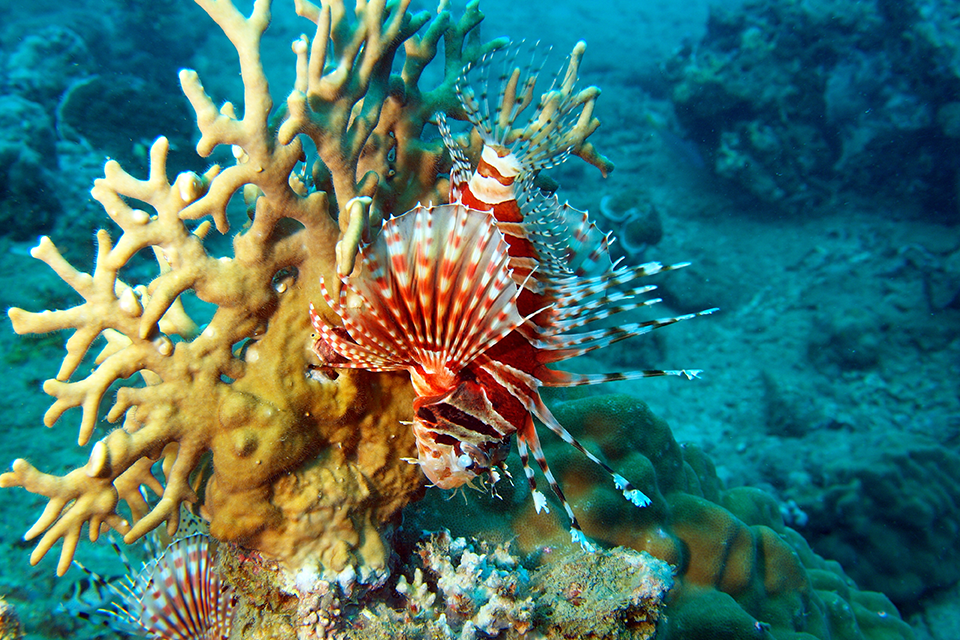Nha Trang