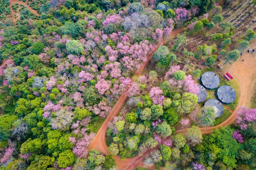 Pangkhon Mountain Chiang Rai
