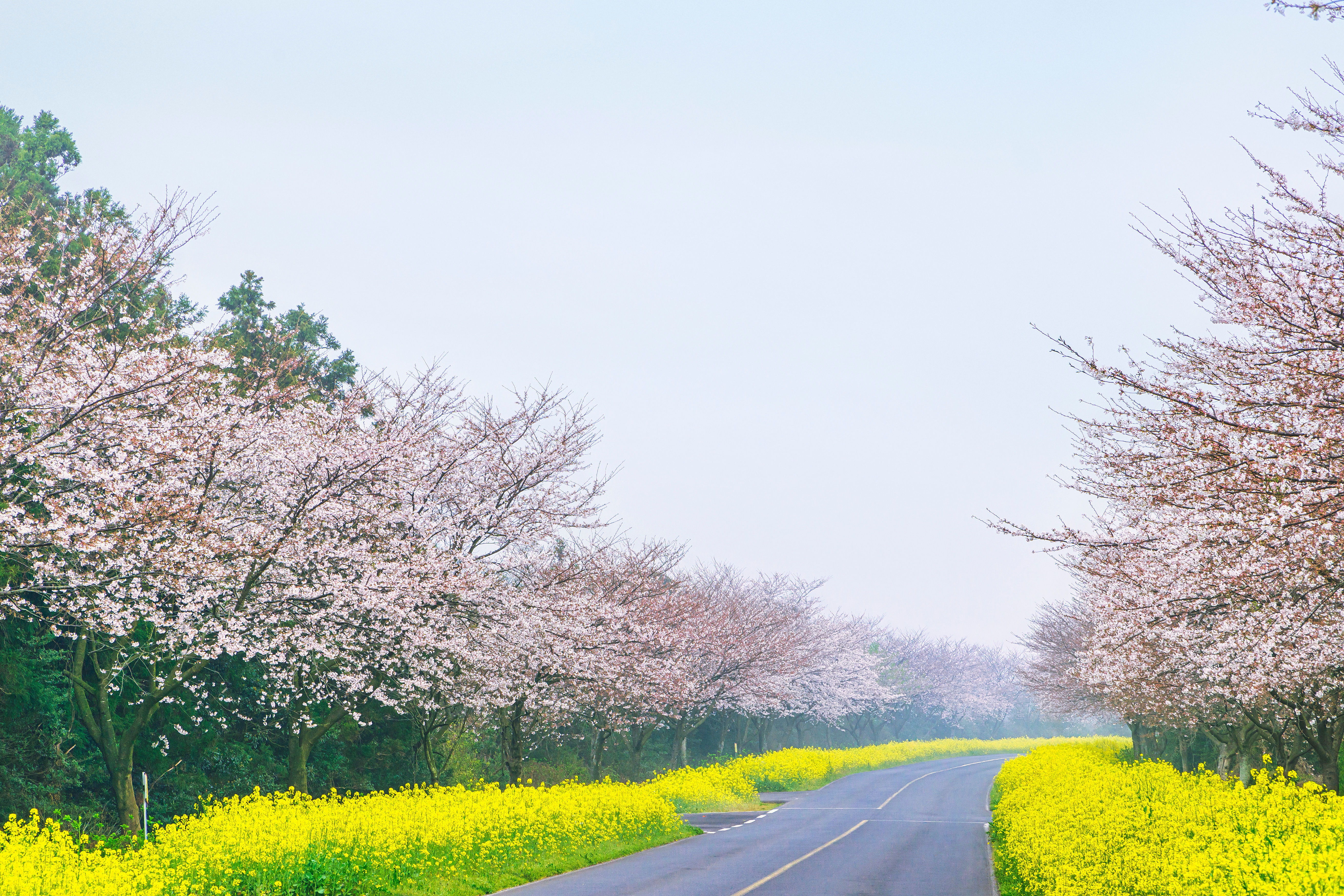 Noksan-ro Jeju