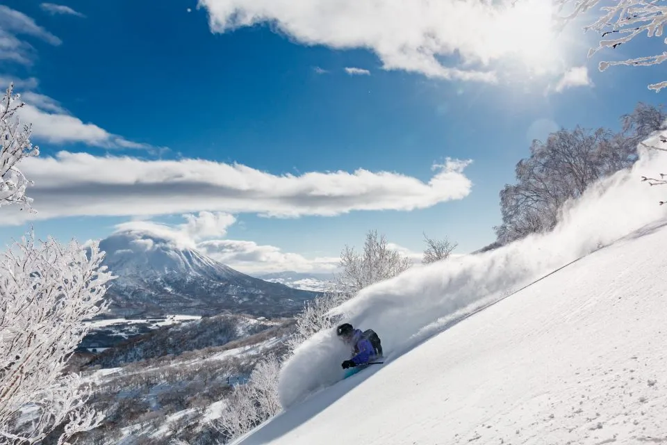 Skiing down powder snow at Grand Hirafu