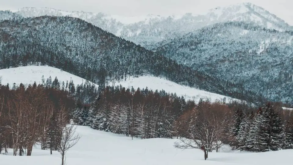 Snowy mountain in Tomamu Hokkaido Japan